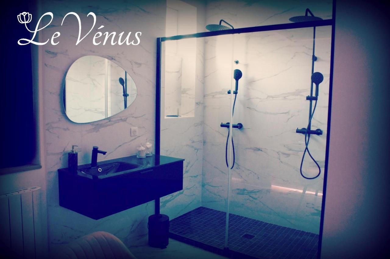 Le Venus - Appartement Spa Privatif Balneo Sauna 디종 외부 사진